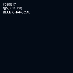 #030B17 - Blue Charcoal Color Image